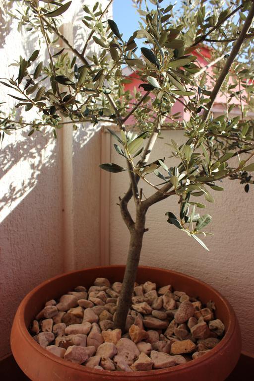 Apartman Luburic Pinezici  Luaran gambar